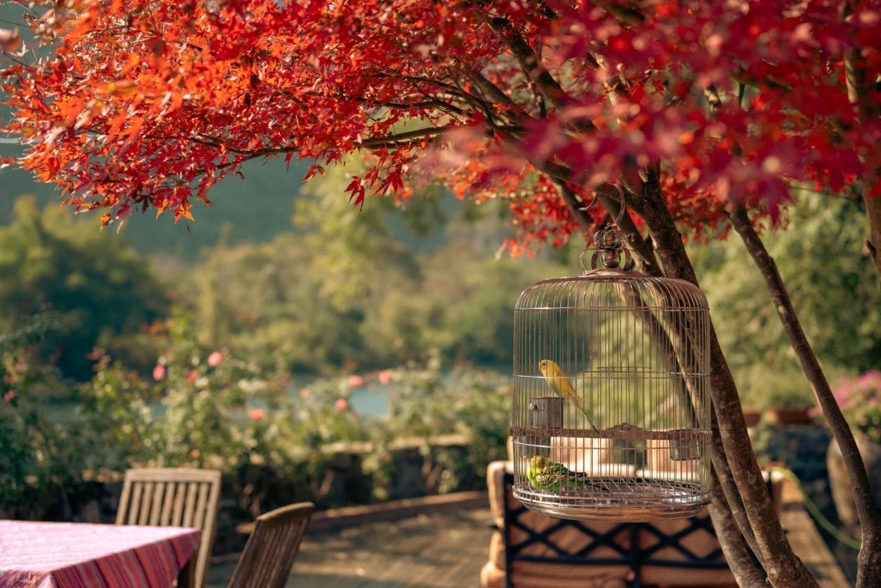 The Apsara Lodge 陽朔 エクステリア 写真
