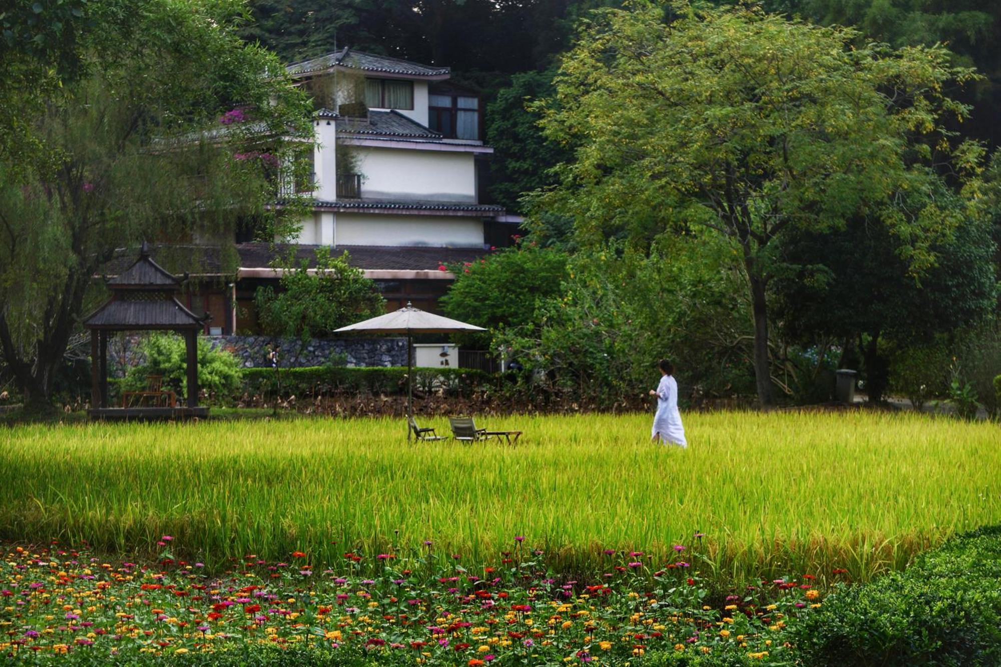 The Apsara Lodge 陽朔 エクステリア 写真