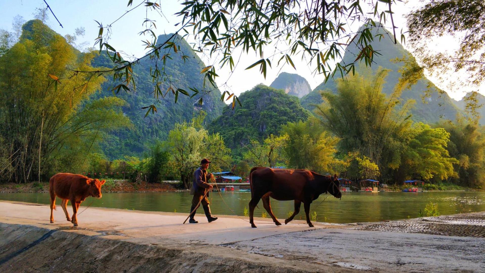 The Apsara Lodge 陽朔 エクステリア 写真